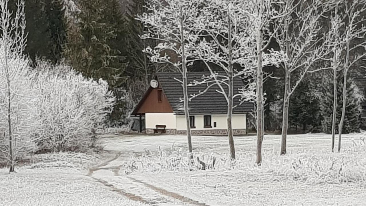 Villa Pocitniska Hisa Taler Bohinj Exterior foto