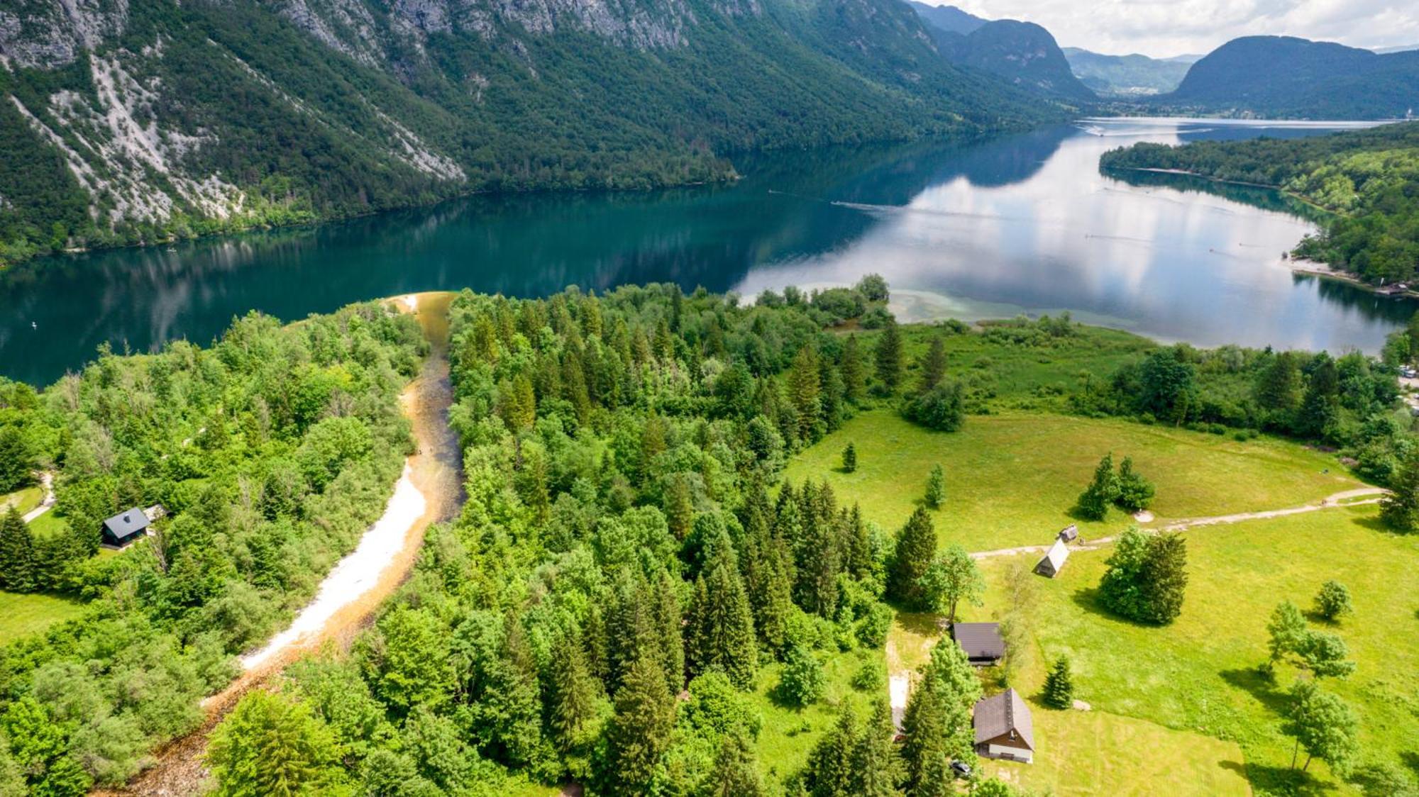 Villa Pocitniska Hisa Taler Bohinj Exterior foto