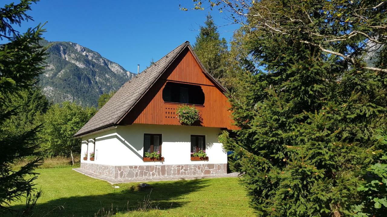 Villa Pocitniska Hisa Taler Bohinj Exterior foto